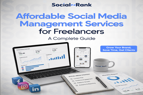 Affordable Social Media Management Services for Freelancers